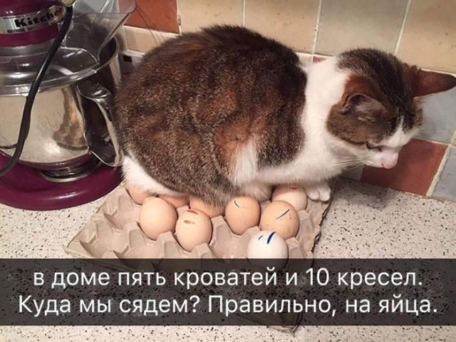 Прикольные картинки