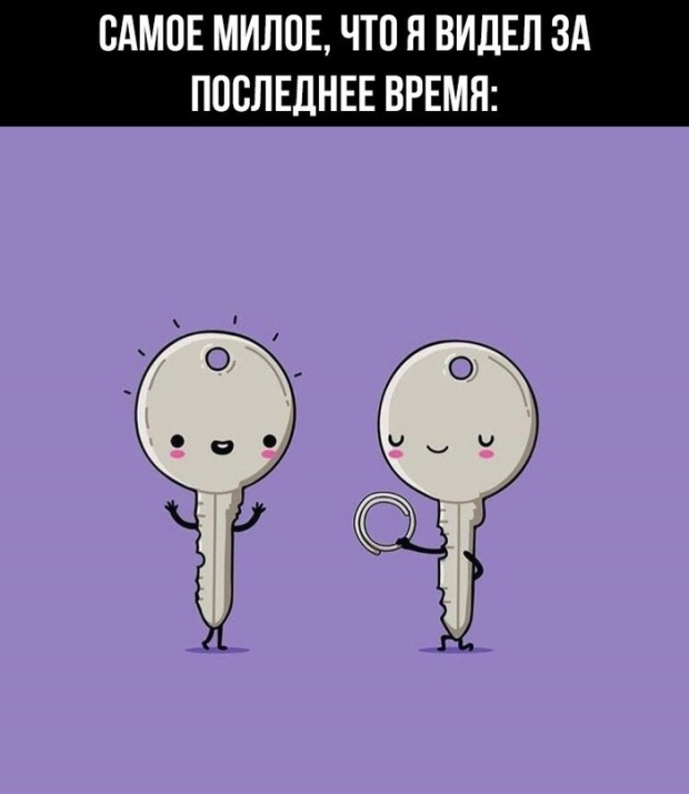 Прикольные картинки