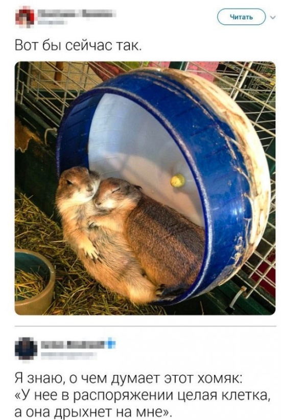 "Люди говорят" в социальных сетях