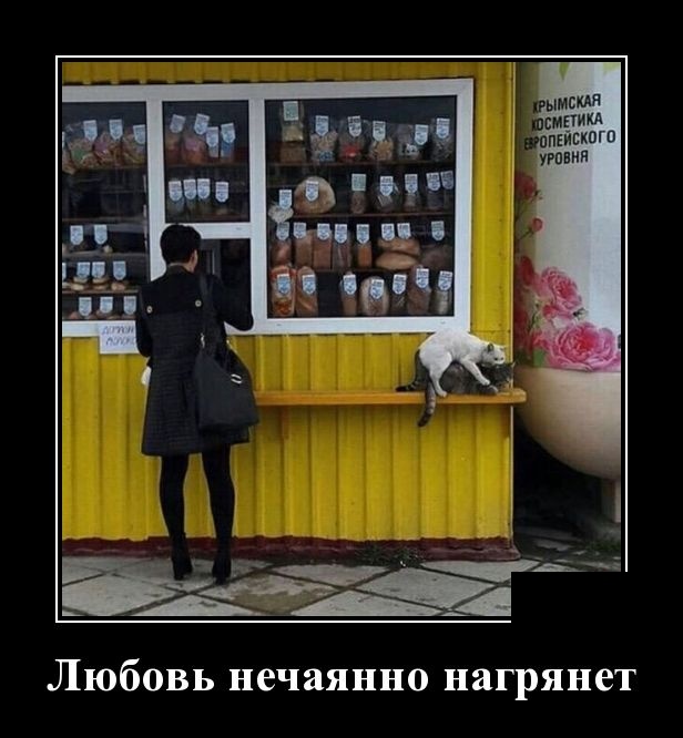 Демотиваторы