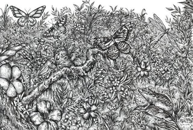 Прогресс юного художника