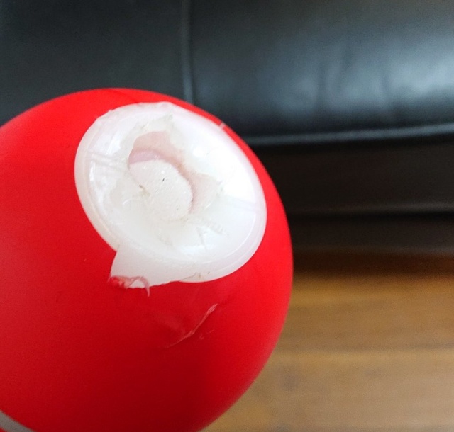 Житель Японии использовал секс-игрушку в качестве вазы, чтобы украсить урну с прахом покойной жены