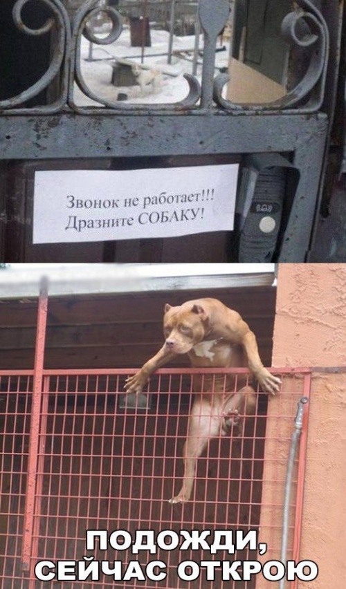 Прикольные картинки