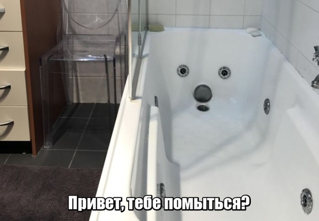 Прикольные картинки