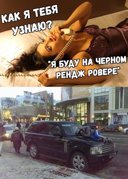 Прикольные картинки