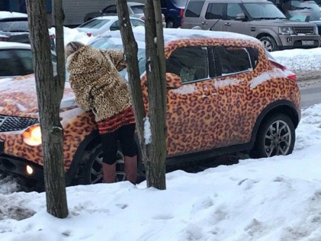 Прикольные картинки