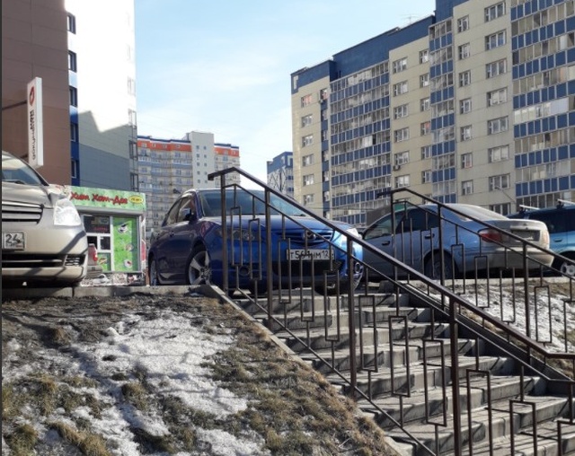 Прикольные картинки