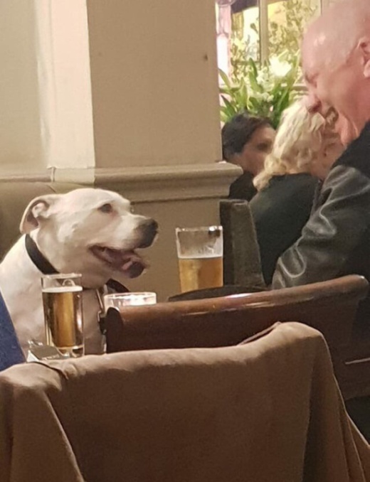 Прикольные картинки