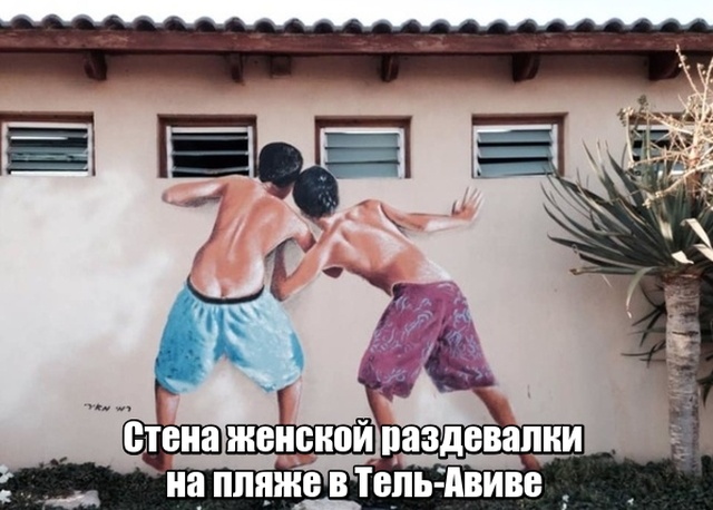 Прикольные картинки