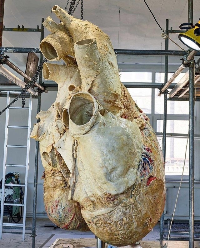 Интересные фотографии и процессы