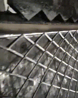 Интересные фотографии и процессы (25 фото)