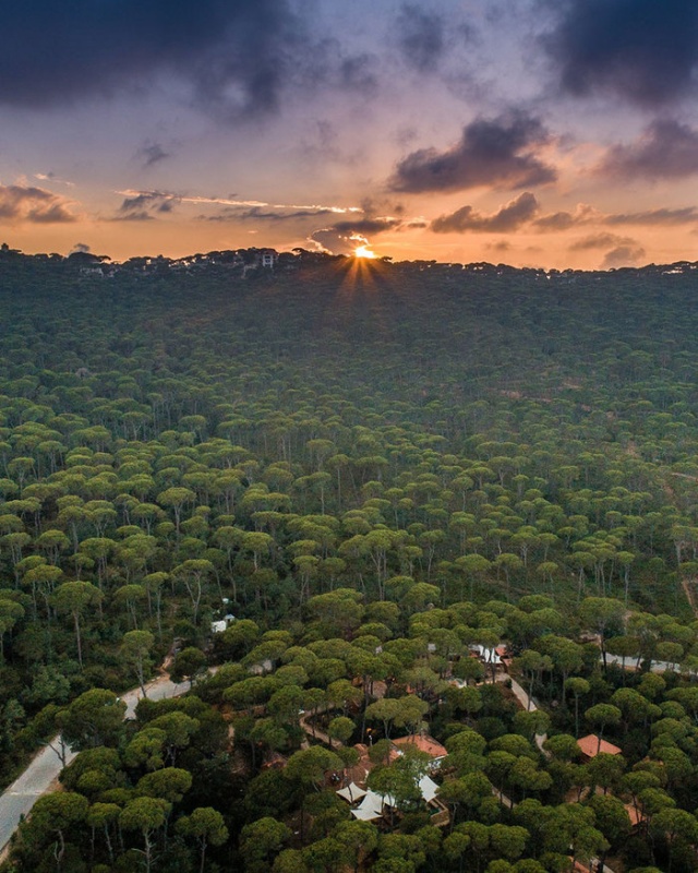 Интересные фотографии и процессы