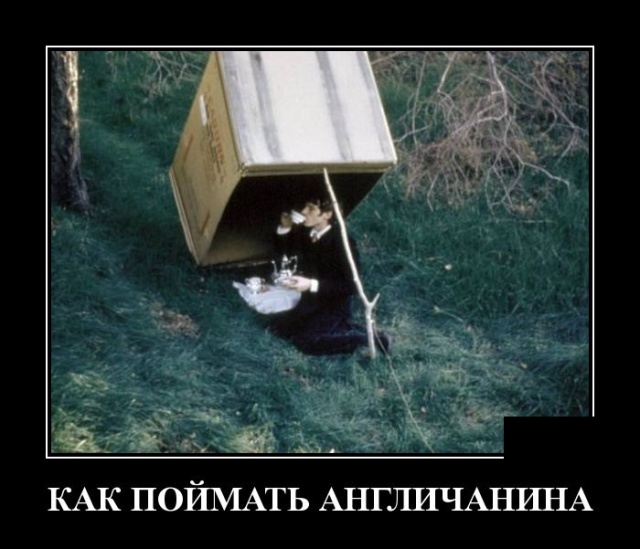 Демотиваторы