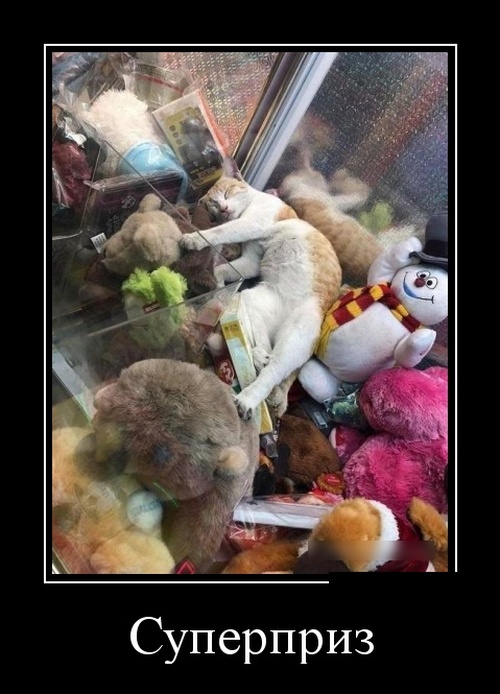 Демотиваторы