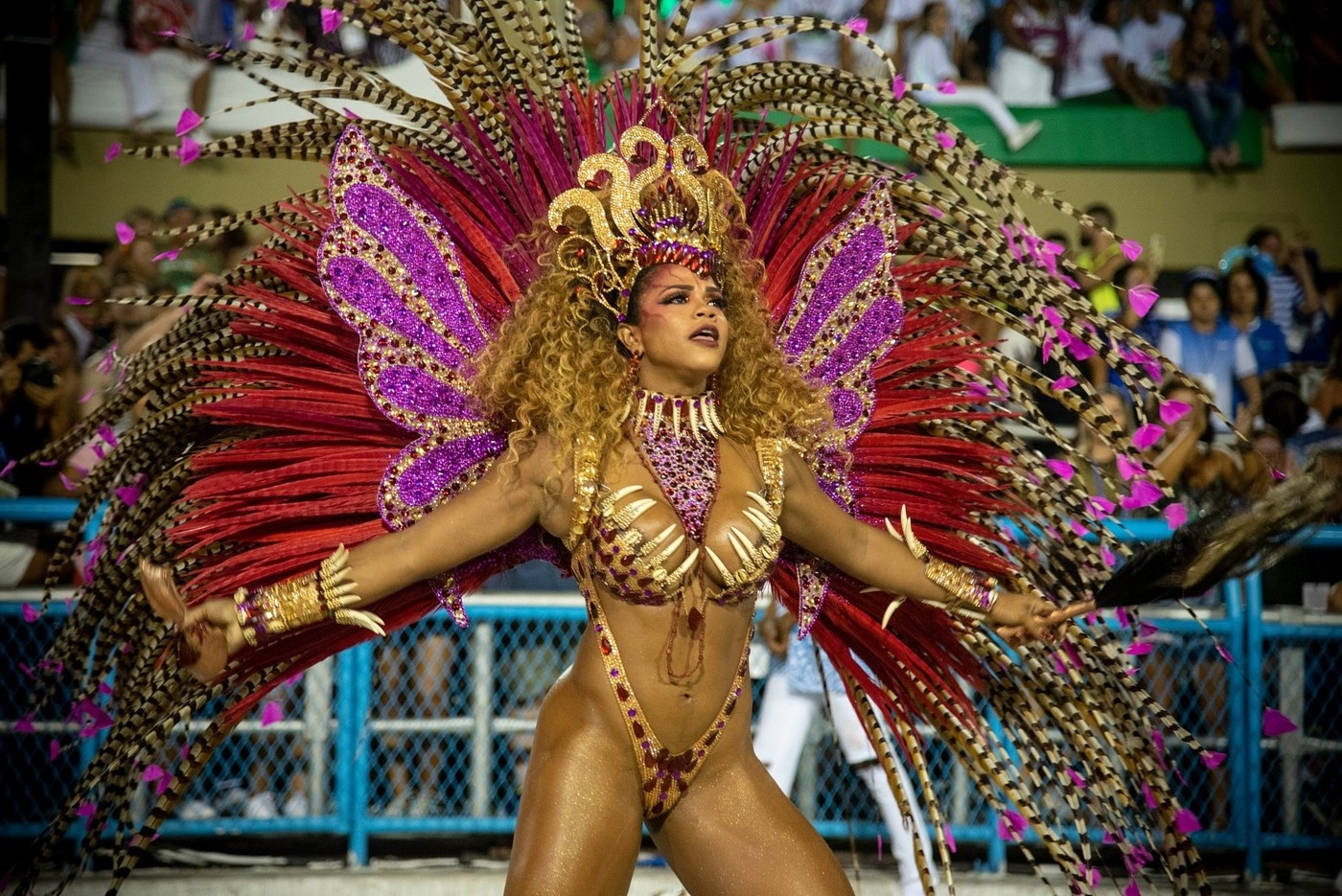 Участницы Бразильского карнавала в самых откровенных нарядах