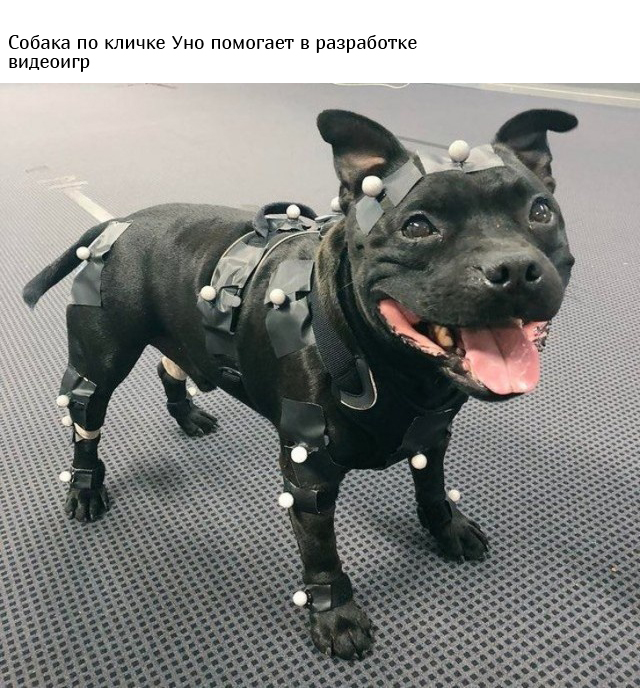 Интересные фото и факты обо всем на свете