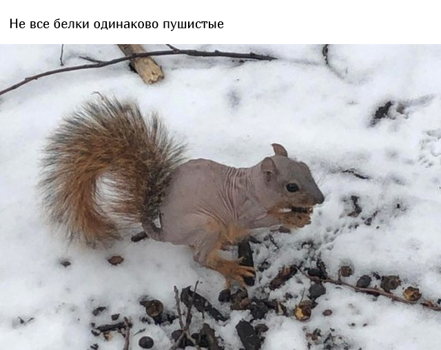 Интересные фото и факты обо всем на свете