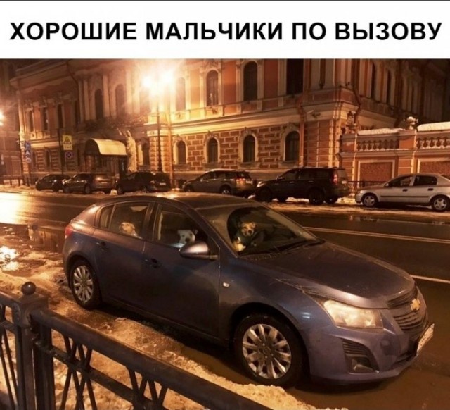 Юмор и шутки с просторов сети
