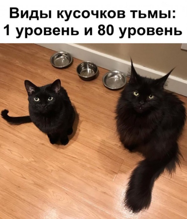 Юмор и шутки с просторов сети