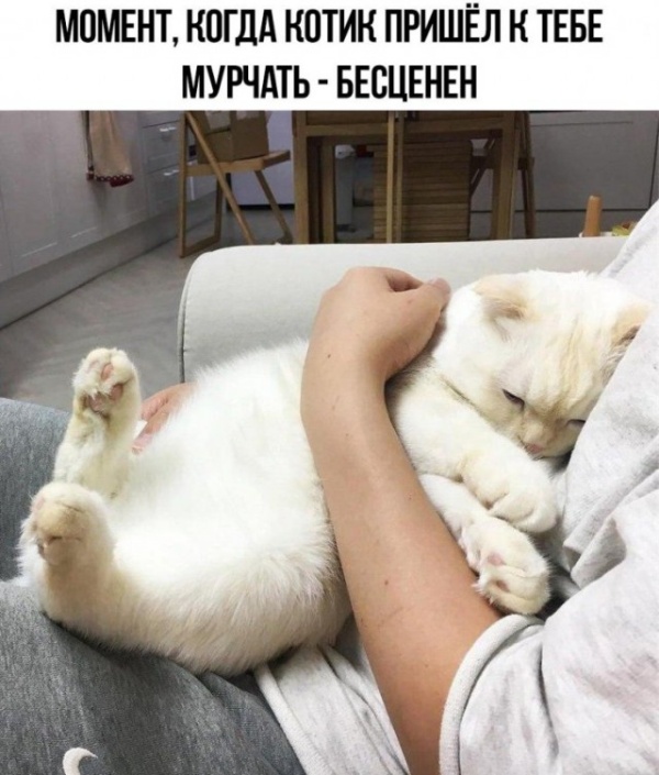 Юмор и шутки с просторов сети