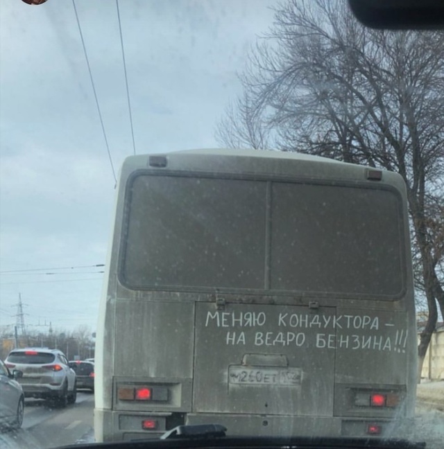 Прикольные картинки