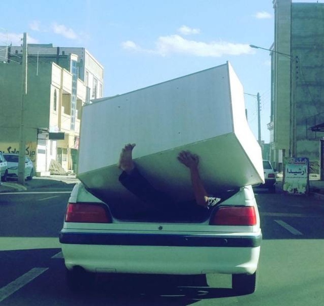 Прикольные картинки