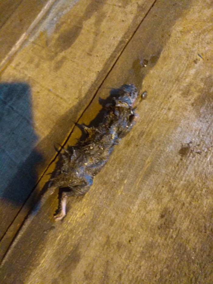 Принцип работы очистных сооружений