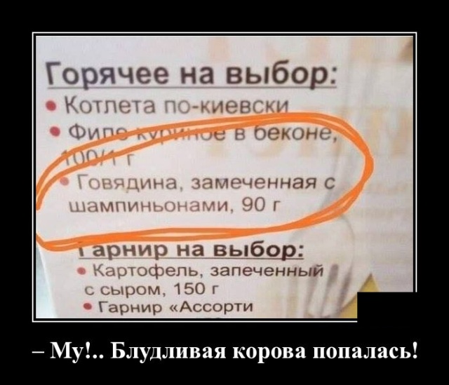 Демотиваторы