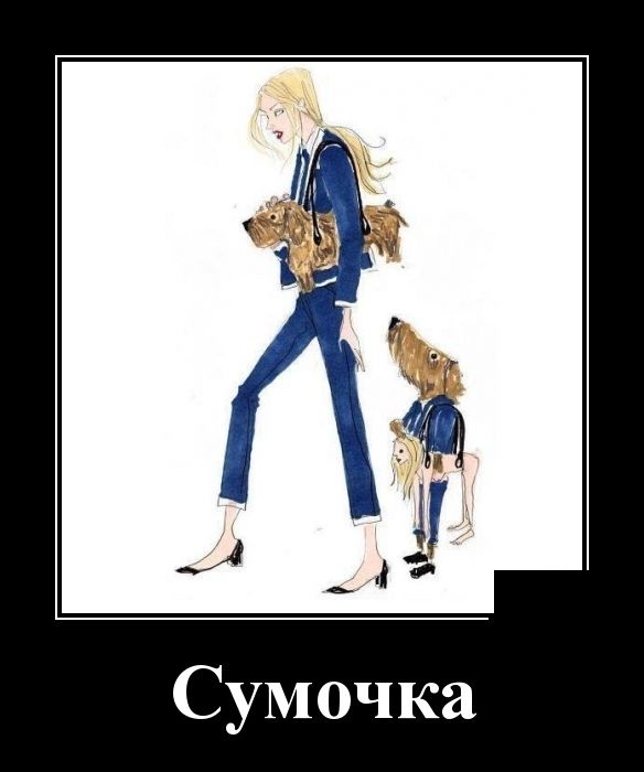 Демотиваторы