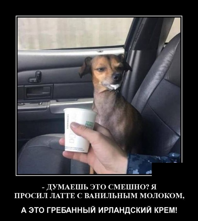 Демотиваторы