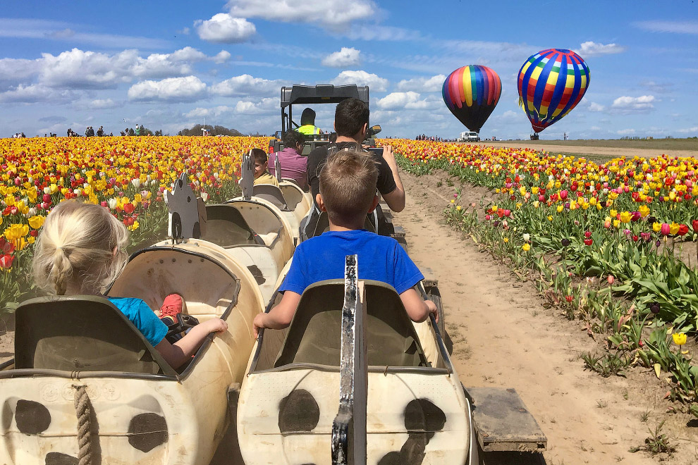 В Орегоне стартовал фестиваль тюльпанов