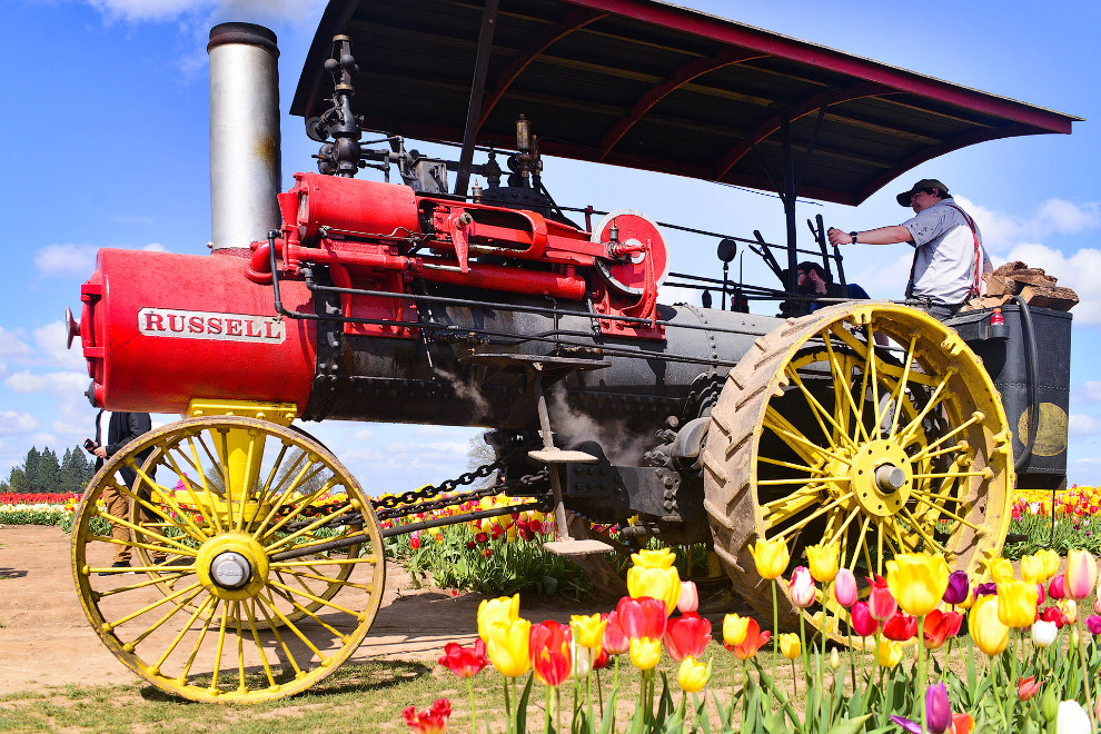 В Орегоне стартовал фестиваль тюльпанов