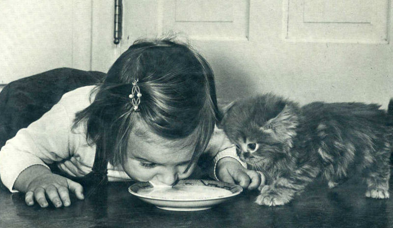 Самые удачные кадры журнала LIFE Самые удачные кадры журнала LIFE