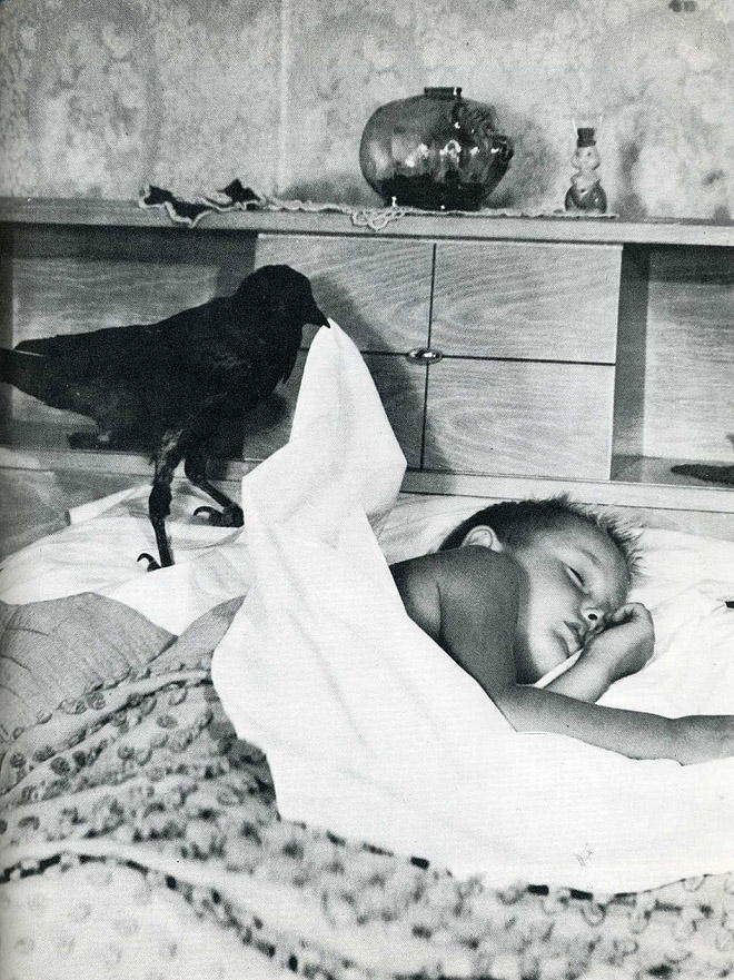 Самые удачные кадры журнала LIFE Самые удачные кадры журнала LIFE