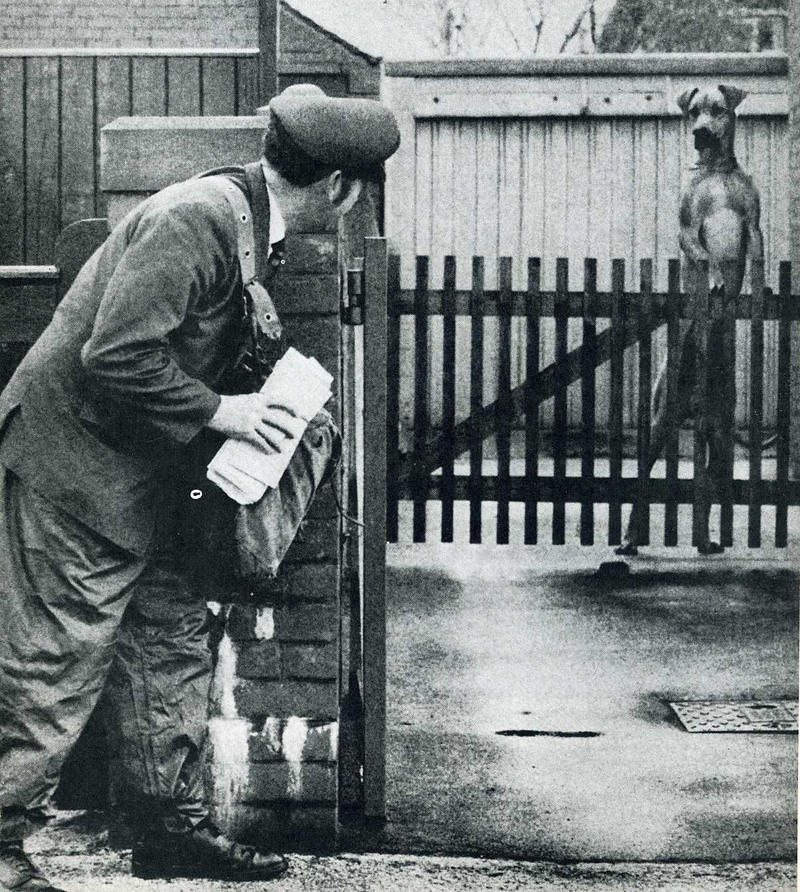 Самые удачные кадры журнала LIFE Самые удачные кадры журнала LIFE