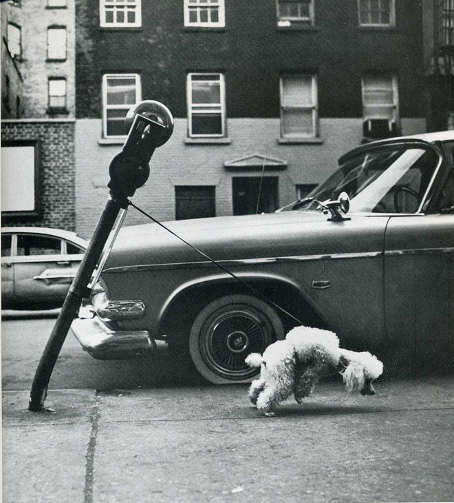 Самые удачные кадры журнала LIFE Самые удачные кадры журнала LIFE