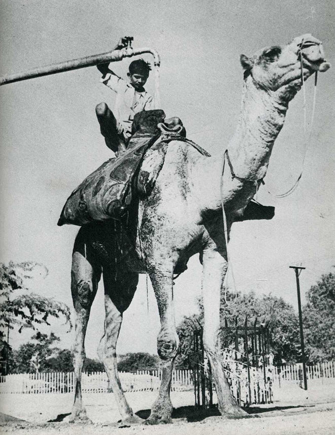 Самые удачные кадры журнала LIFE Самые удачные кадры журнала LIFE