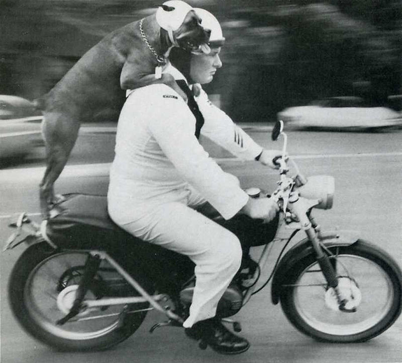 Самые удачные кадры журнала LIFE Самые удачные кадры журнала LIFE