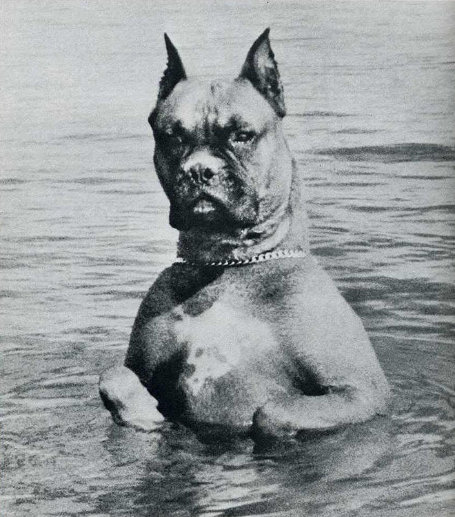 Самые удачные кадры журнала LIFE Самые удачные кадры журнала LIFE