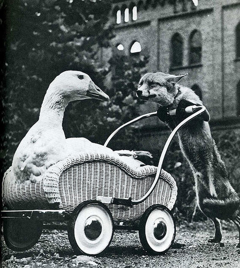 Самые удачные кадры журнала LIFE Самые удачные кадры журнала LIFE