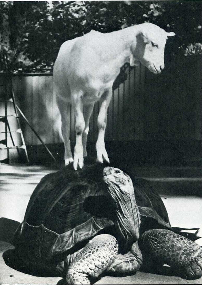 Самые удачные кадры журнала LIFE Самые удачные кадры журнала LIFE