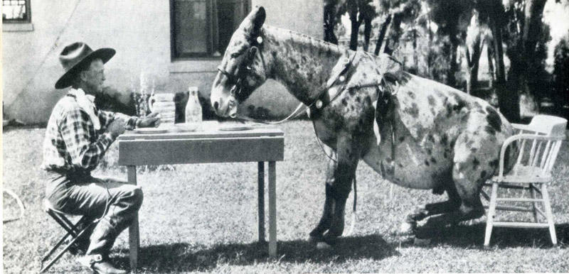 Самые удачные кадры журнала LIFE Самые удачные кадры журнала LIFE