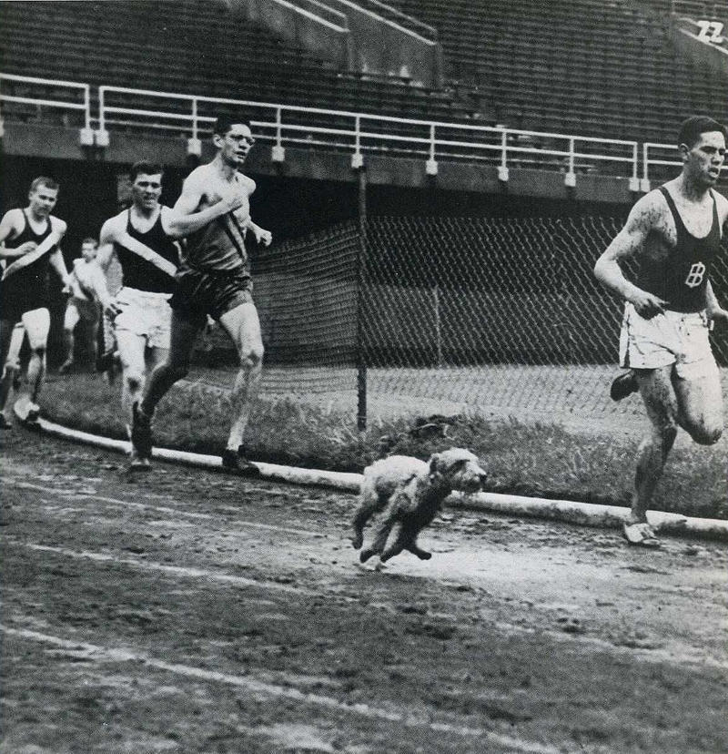 Самые удачные кадры журнала LIFE Самые удачные кадры журнала LIFE