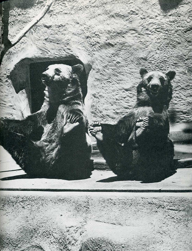 Самые удачные кадры журнала LIFE Самые удачные кадры журнала LIFE