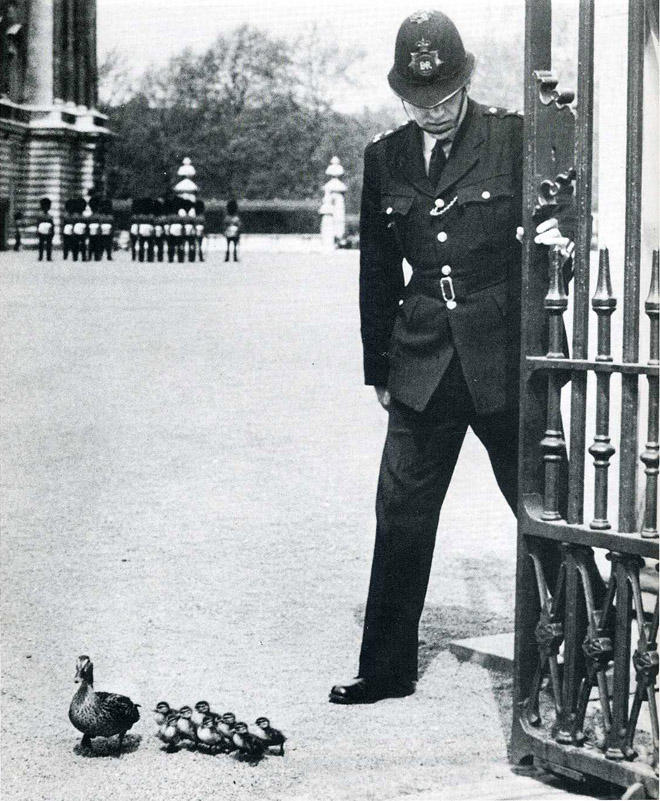 Самые удачные кадры журнала LIFE Самые удачные кадры журнала LIFE