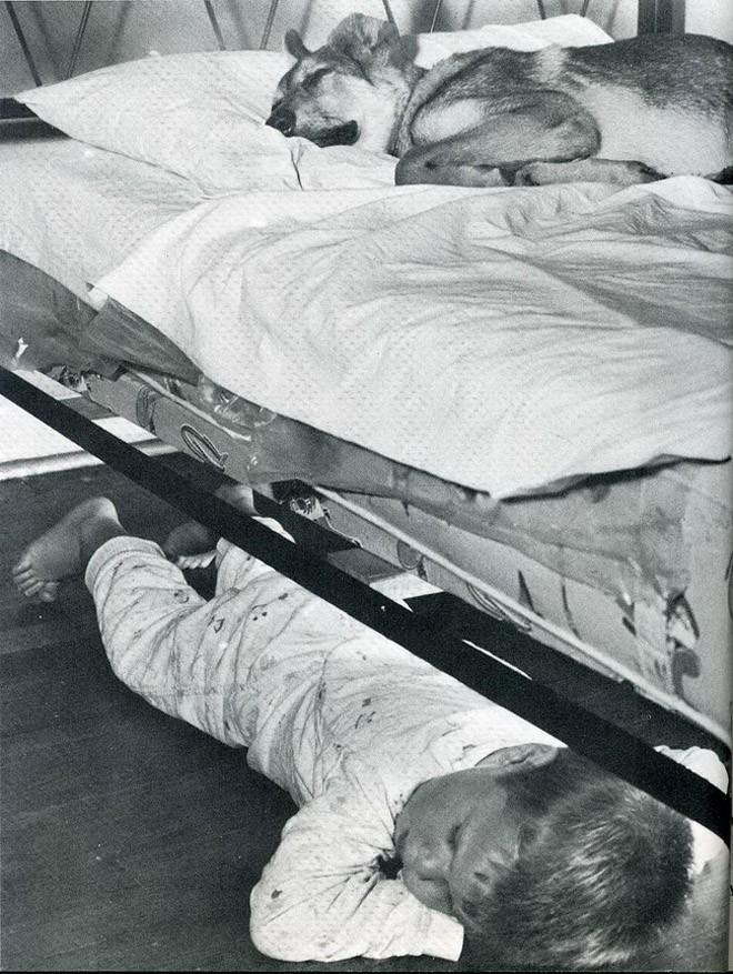 Самые удачные кадры журнала LIFE Самые удачные кадры журнала LIFE