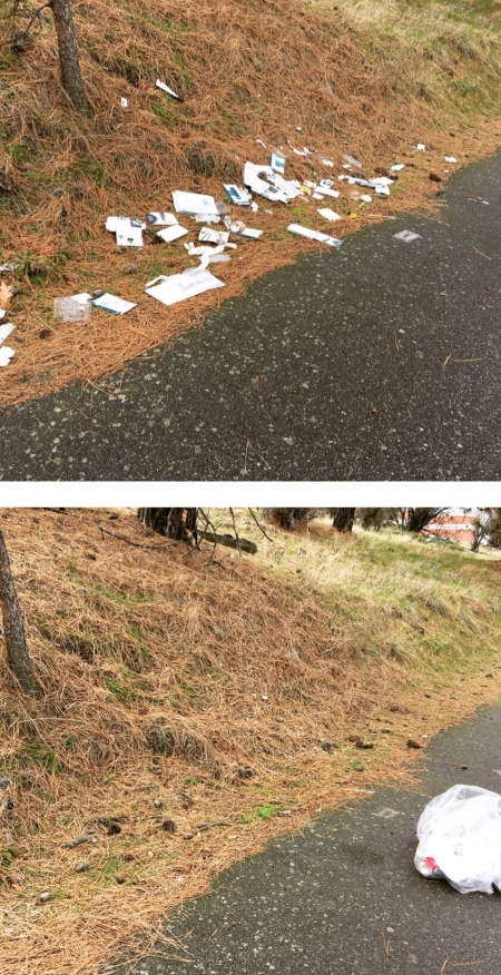 #trashtag - челлендж, который становится популярным во всем мире