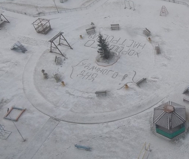 Прикольные картинки