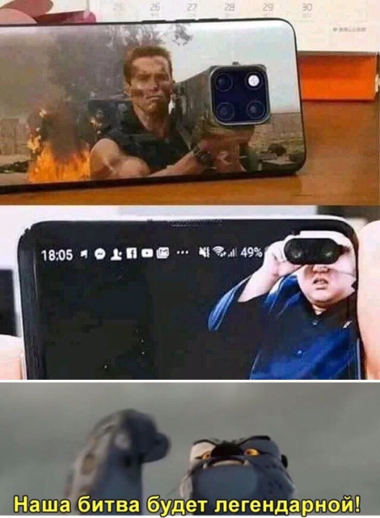 Прикольные картинки