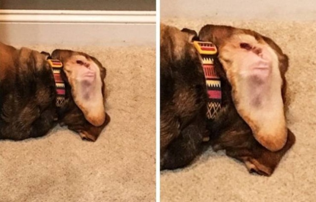 Показалось